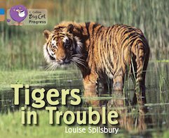 Tigers in Trouble