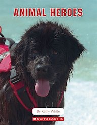 Connectors Ages 10+: Animal Heroes x 6