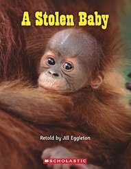 Connectors Orange: A Stolen Baby (6 Copies)