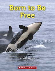 Connectors Orange: Born to Be Free (6 Copies)