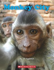 Connectors Turquoise: Monkey City (6 Copies)