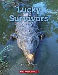 Connectors Gold: Lucky Survivors x 6