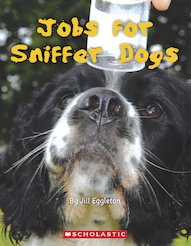 Connectors Turquoise: Jobs for Sniffer Dogs x 6