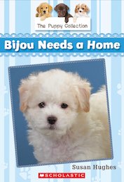 Bijou Needs a Home