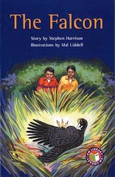 Falcon (PM Chapter Books) Level 25