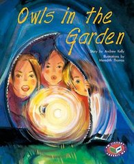 Owls in the Garden (PM Storybooks) Level 21