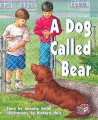 A Dog Called Bear (PM Storybooks) Level 19