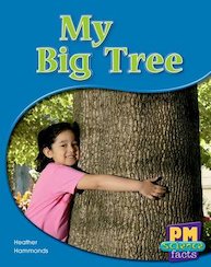 My Big Tree (PM Science Facts) Levels 5, 6