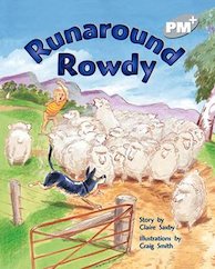 Runaround Rowdy (PM Plus Storybooks) Level 24