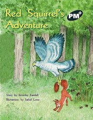 Red Squirrel's Adventure (PM Plus Storybooks) Level 14