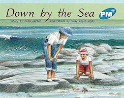 Down by the Sea (PM Plus Storybooks) Level 11