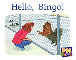 Hello, Bingo! (PM Gems) Level 2, 3