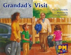 PM Green: Grandad's Visit (PM Gems) Level 13 x 6