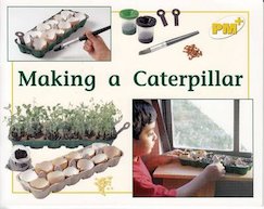 PM Yellow: Making a Caterpillar (PM Plus Non-fiction) Levels 8, 9 x 6