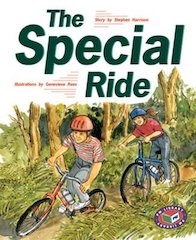 PM Gold: The Special Ride (PM Storybooks) Levels 21, 22 x 6