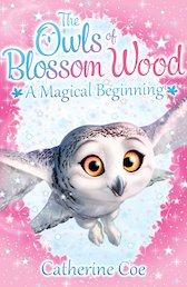 The Owls of Blossom Wood - A Magical Beginning