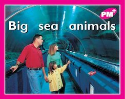 Big Sea Animals (PM Plus) Level 2