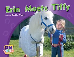 Erin Meets Tiffy (PM Photo Stories) Levels 3, 4, 5