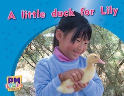 PM Magenta: A Little Duck for Lilly (PM Photo Stories) Levels 2, 3 x 6
