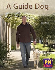 A Guide Dog (PM Stars) Levels 9, 10, 11, 12