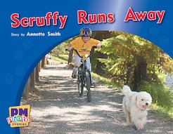 PM Blue: Scruffy Runs Away (PM Photo Stories) Level 10 x 6