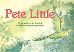 Pete Little (PM Storybooks) Level 12