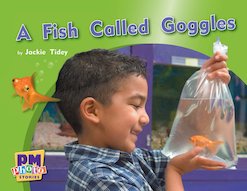 PM Green: A Fish Called Goggles (PM Photo Stories) Level 13 x 6