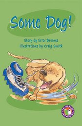 Some Dog! (PM Chapter Books) Level 27
