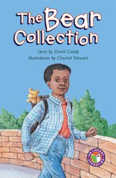Bear Collection (PM Chapter Books) Level 28