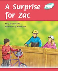 A Surprise for Zac (PM Plus Storybooks) Level 17