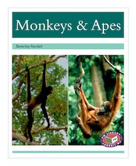 Monkeys & Apes (PM Non-fiction) Levels 18, 19