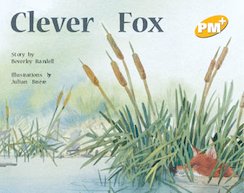 Clever Fox (PM Plus) Level 6