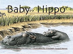 Baby Hippo (PM Storybooks) Level 6