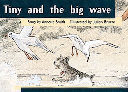 Tiny and the Big Wave (PM Storybooks) Level 8