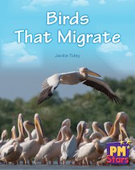 PM Blue: Birds That Migrate (PM Stars) Levels 11, 12 x 6