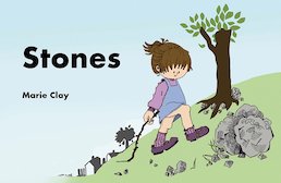 Concepts About Print: Stones