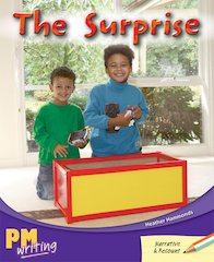 The Surprise (PM Orange/Turquoise) Levels 16, 17