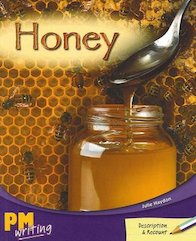 PM Writing 2: Honey (PM Turquoise/Purple) Levels 18, 19 x 6