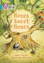 Homes Sweet Homes (Book Band Turquoise/7)