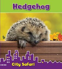 City Safari: Hedgehog
