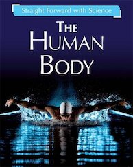 Human Body