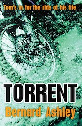 Barrington Stoke Teen: Torrent