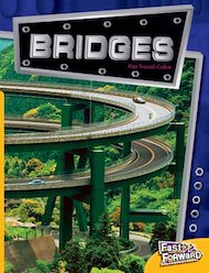 Bridges (Non-fiction) Level 7