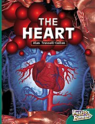 The Heart (Non-fiction) Level 14