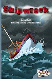 Shipwreck (Fiction) Level 24