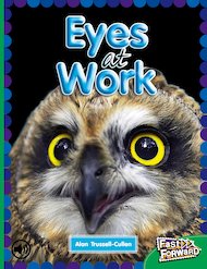 Eyes at Work (Non-fiction) Level 25