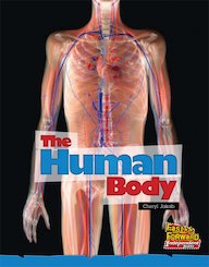 The Human Body (Non-fiction) Level 11