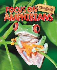 Amphibians
