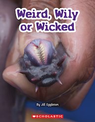 Connectors Silver: Weird, Wily or Wicked (6 Copies)