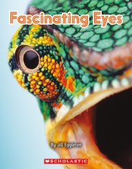 Connectors Emerald: Fascinating Eyes (6 Copies)